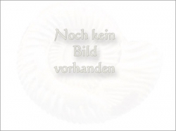 Anfertigung einer Armspange 3 mm stark aus Kundenmaterial!