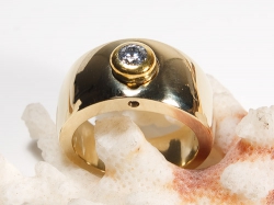 Ring: Charlotte 21 kompatibel, 333er Gelbgold; Ringweite 18