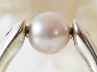 Akoya Zuchtperle 8 mm