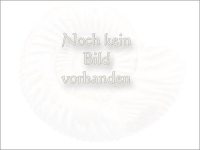 Silber/Edelholz/Silber-Manschettenknöpfe